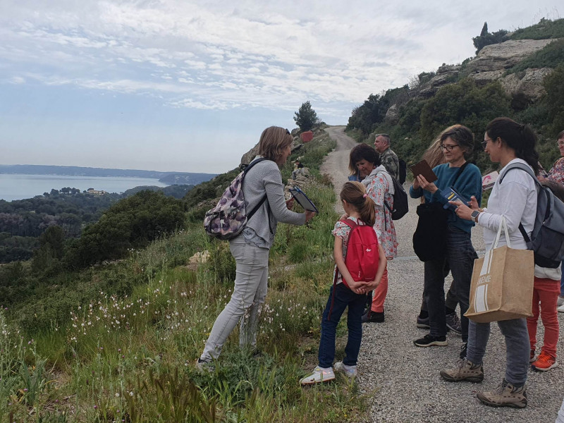 Découverte des plantes comestibles et médicinales sur la colline st-Étienne_Istres Découverte des plantes comestibles et médicinales sur la colline st-Étienne_Istres