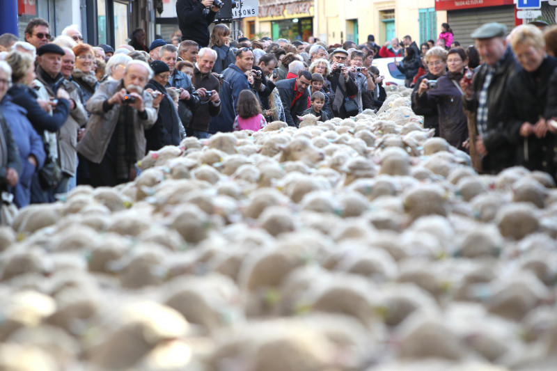 fete_des_bergers_5.jpg fete_des_bergers_5.jpg