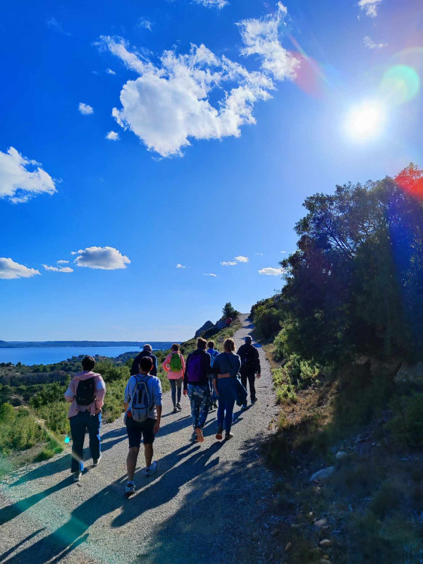 Découverte des plantes comestibles et médicinales sur la colline st-Étienne_Istres