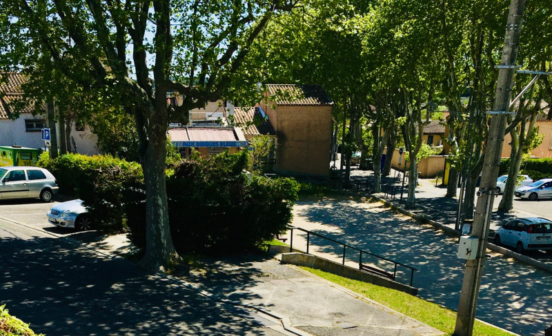 Lavande 1