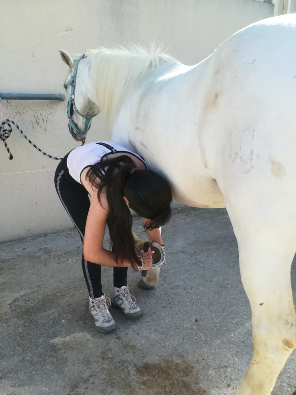 Paseo a caballo matinal con Deven_Istres