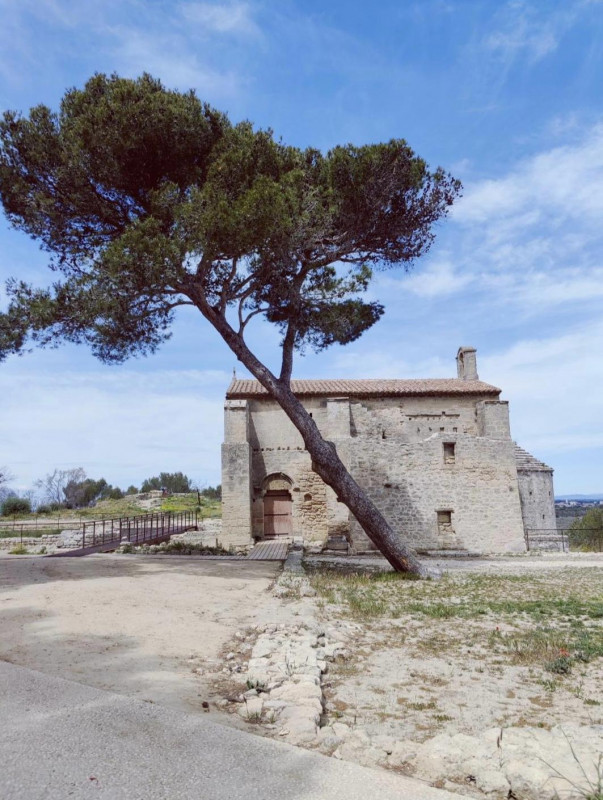Visite guidée du site archéologique de Saint-Blaise_Istres