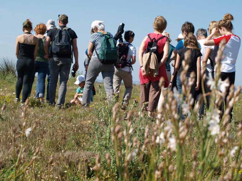 Éco-balade naturaliste dans la plaine de la Crau_Istres