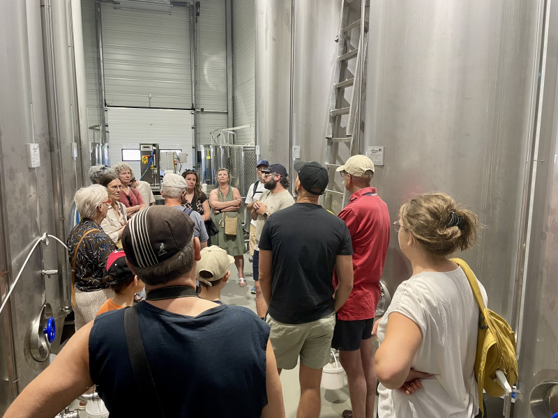 Tasting and Guided Tour at Moulin Leydier_Istres
