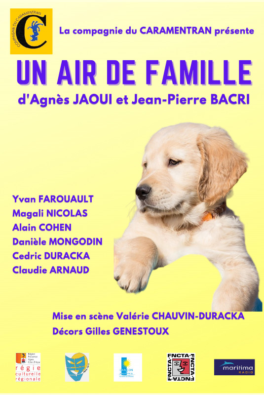 affiche-un-air-de-famille-215798