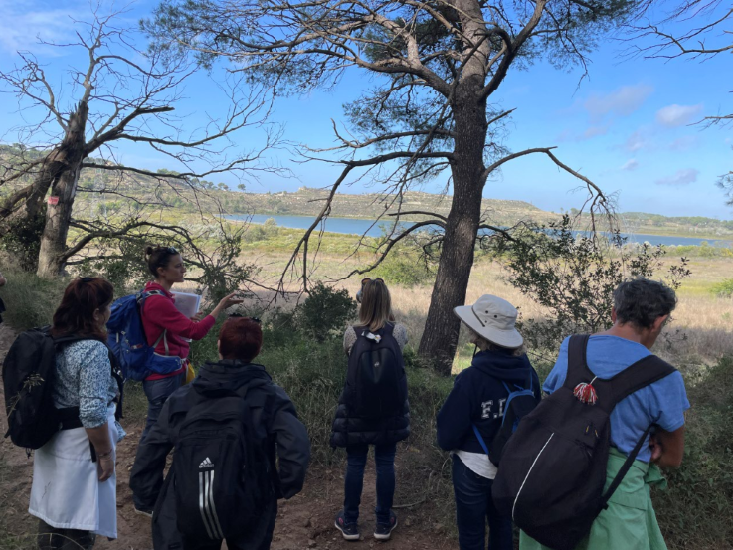 capture-d-cran-2026-04-14-104958-240137