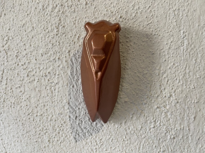 cigale-sicard-10-cm-1-195541