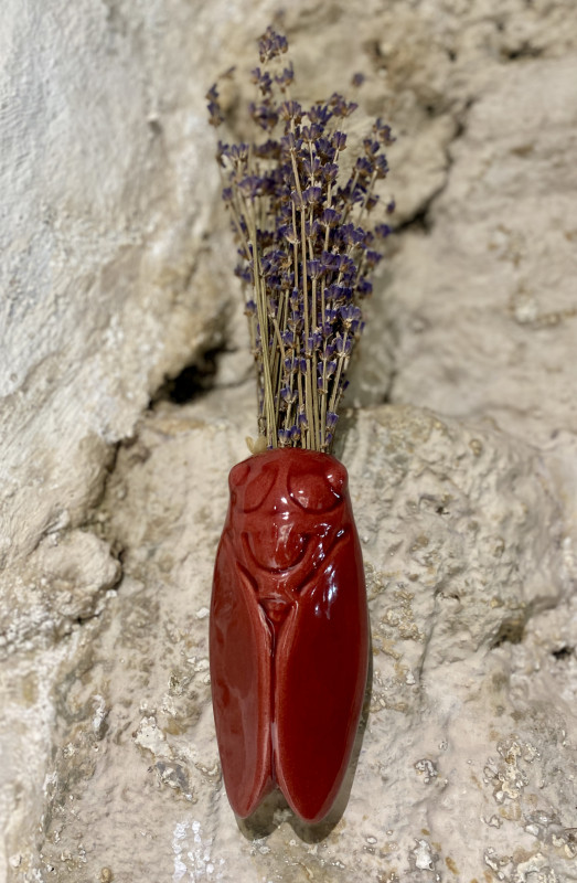 cigale-tradition-sicard-235222