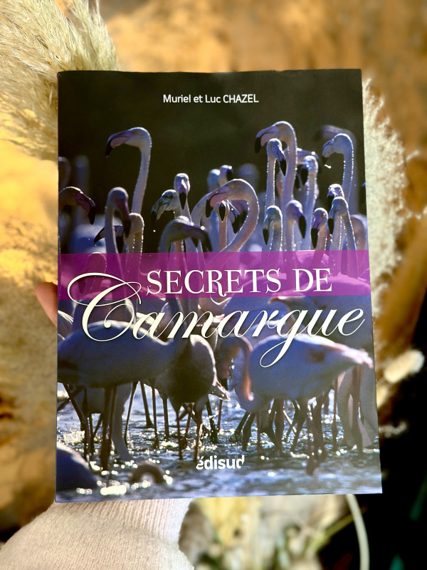 img-4727-239230 img-4727-239230