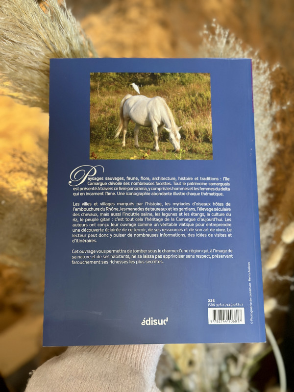 img-4728-239231 img-4728-239231