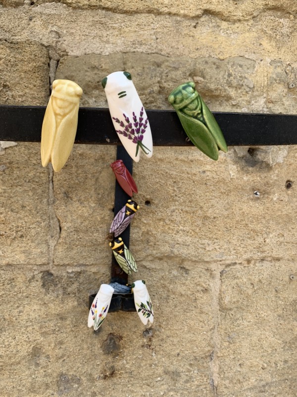 magnet-cigales-sicard-192992