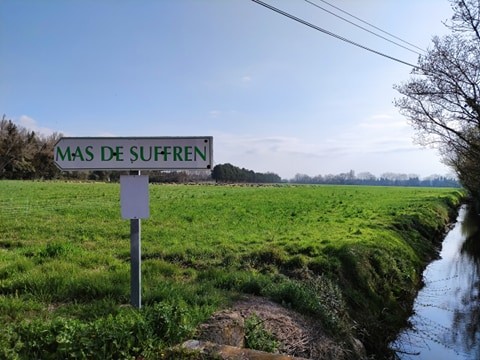 mas-de-suffren-club-tourisme-2021-1-198442