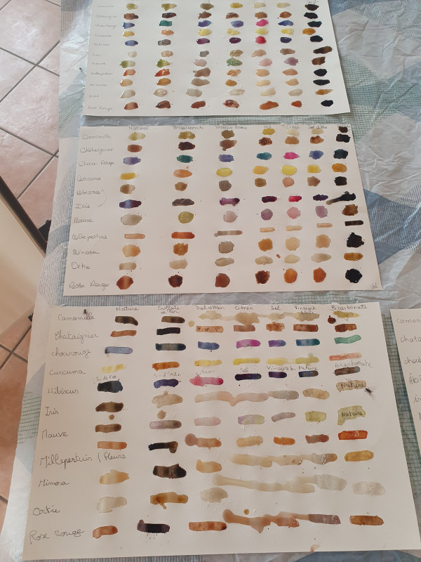 peinture-v-g-tale-6-233960
