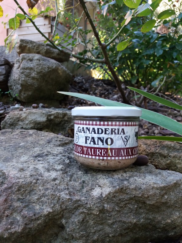 terrine-de-taureau-aux-cepes-fano-1-193006